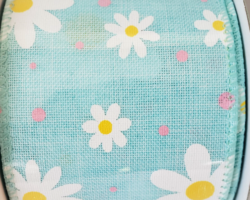 DAISIES BLU LIN-2.5” WR
This bow could be used for any occasion including spring, summer, Mother’s Day, birthday or garden collection just to name a few. Streamers will be solid ribbons in the colors of blue, white, yellow or pink. If available, a coordinating text streamer for the desired occasion could be added.